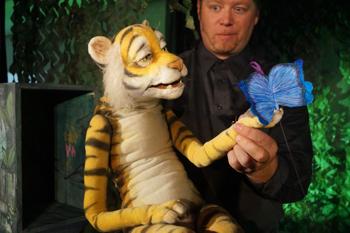 Eine Tigerhandpuppe wird von einem Mann geführt. Sie hält einen blauen Schmetterling in der linken Pfote